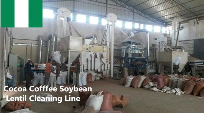 Lentil Kidney Chickpea Cleaning Plant / Pulse Bean Seed Processing Line
