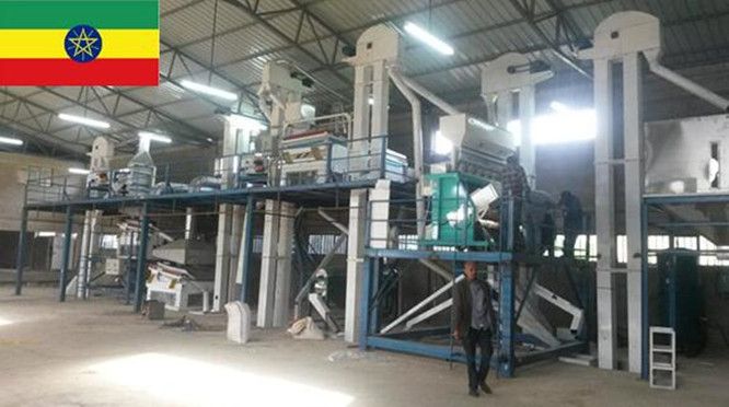 Lentil Kidney Chickpea Cleaning Plant / Pulse Bean Seed Processing Line