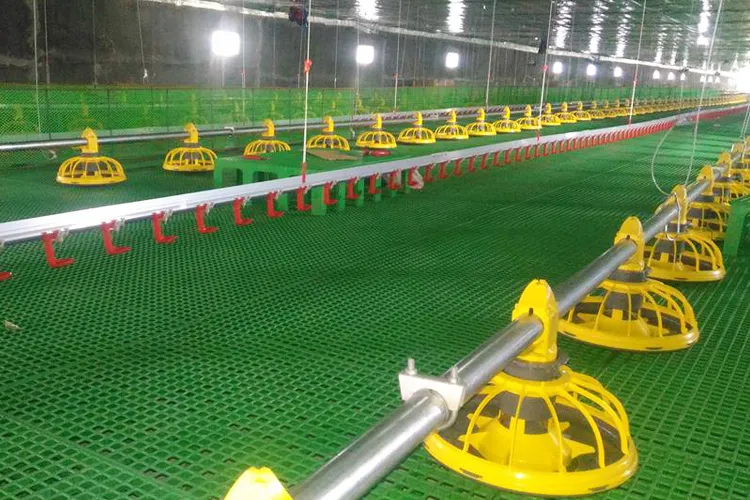 Lifetime Warranty Animal Feeding Poultry House Chicken Feeder System