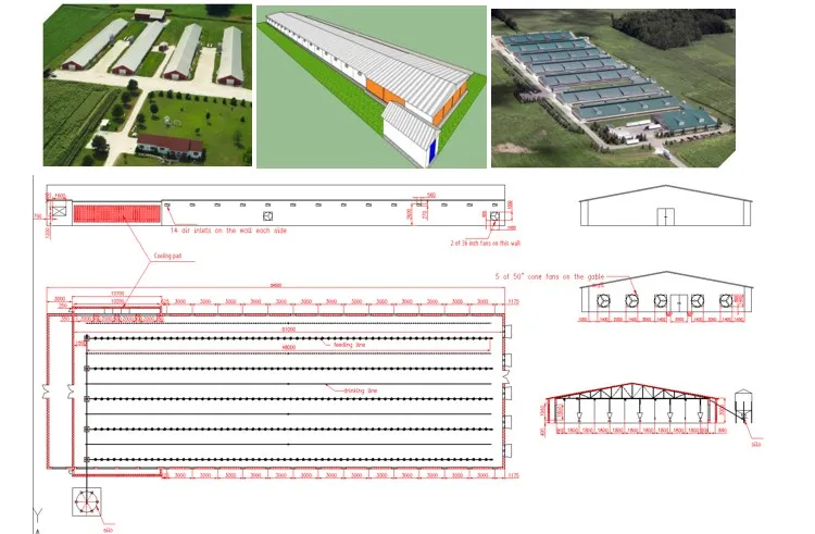 Lifetime Warranty Animal Feeding Poultry House Chicken Feeder System