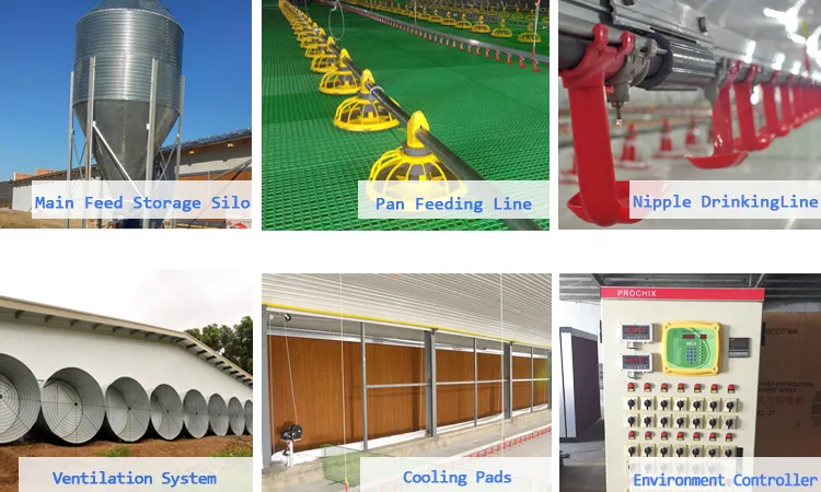 Lifetime Warranty Animal Feeding Poultry House Chicken Feeder System