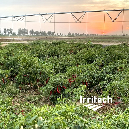 Linear Sprinker Package Controlled by Electrovalves While in Pivot Mode