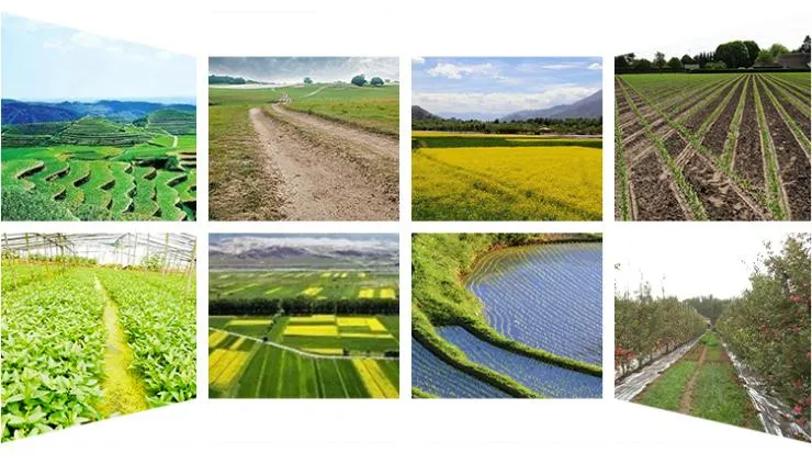 Low Cost Onion Planter Vegetable Seeder Tractor Corn Seeder Corn Precise Seeder