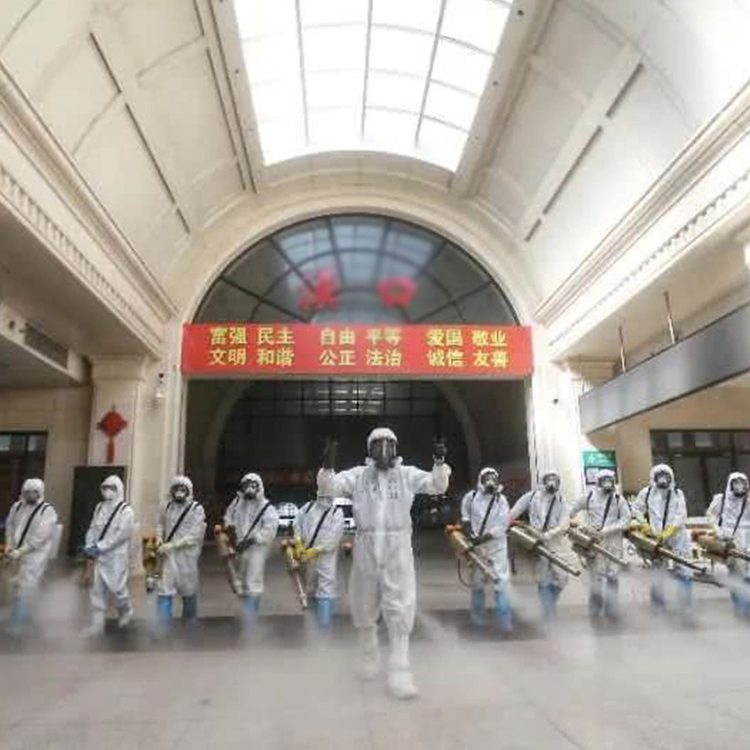 Low Price Mini Thermal Fogger Small Smoke Sprayer Machines