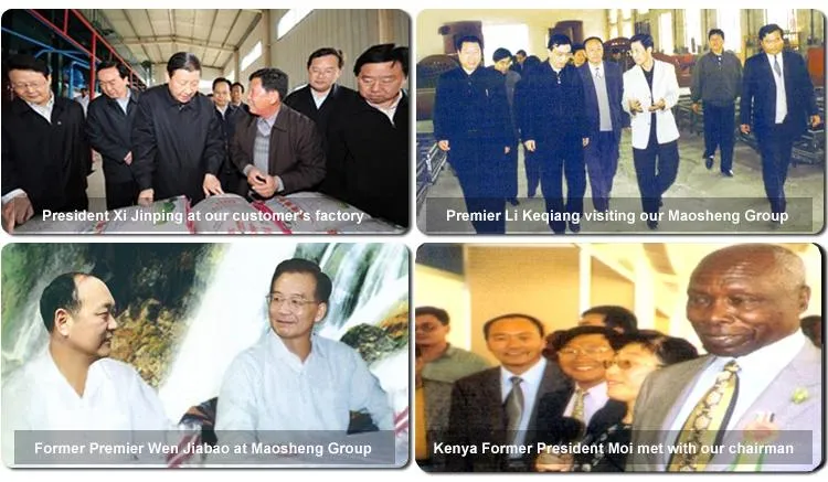 Maize Wheat Seed Treatment Machine for Seed Cleaning Processing Line