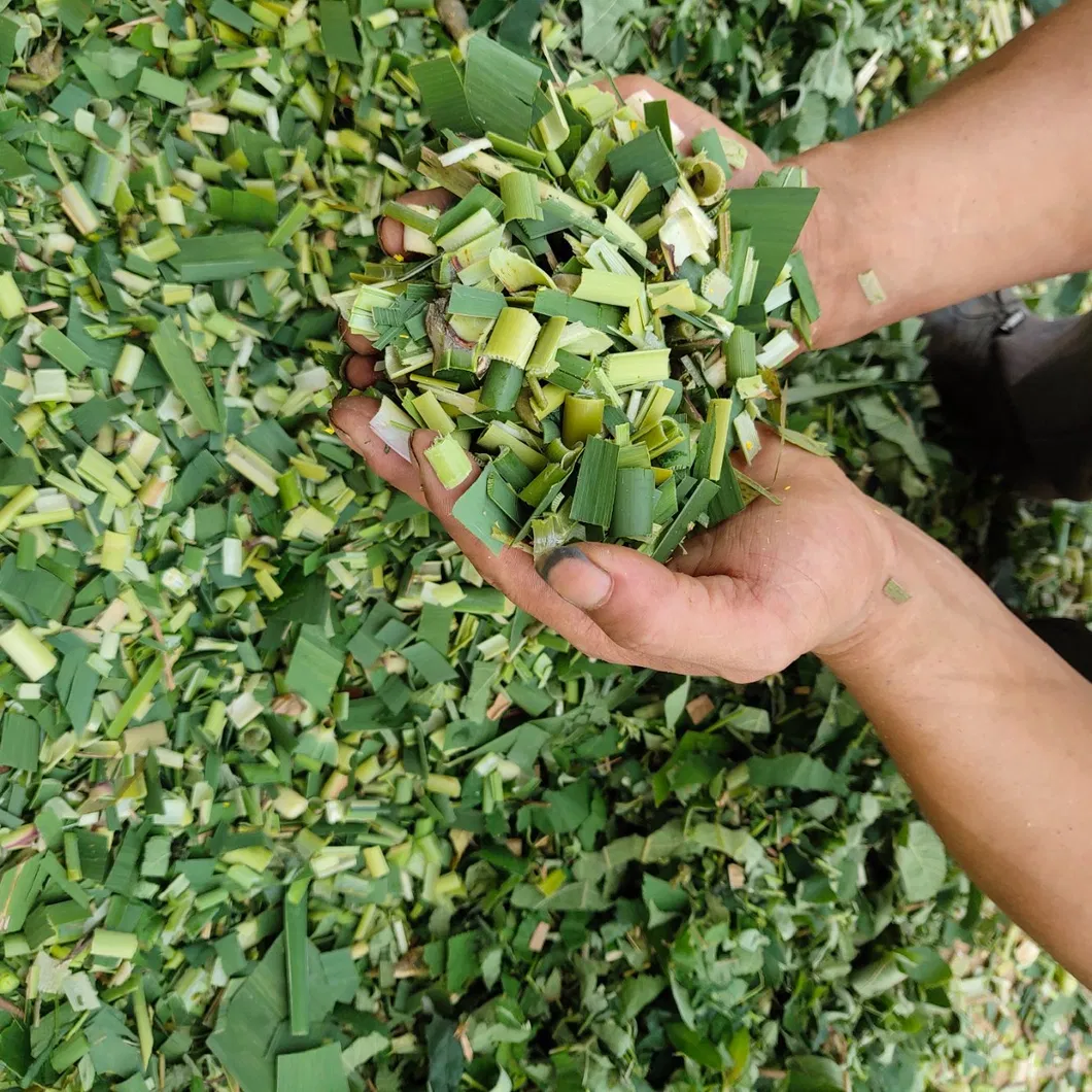 Manufacturer Selling Portable Grinding Type Chaff Slicer Machinery for Cutting Grass