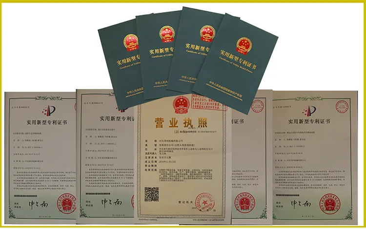 Maoheng Machine Seed Processing Plant Machinery 5xfz-15bxtm