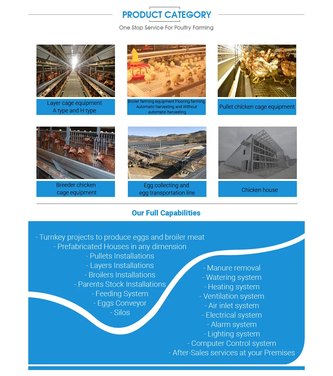 Mature Design Fans and Cooling Pad Poultry Farm Equipment with High Quality