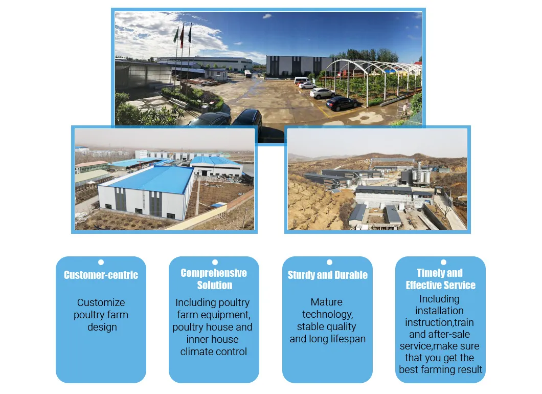Mature Design Fans and Cooling Pad Poultry Farm Equipment with High Quality