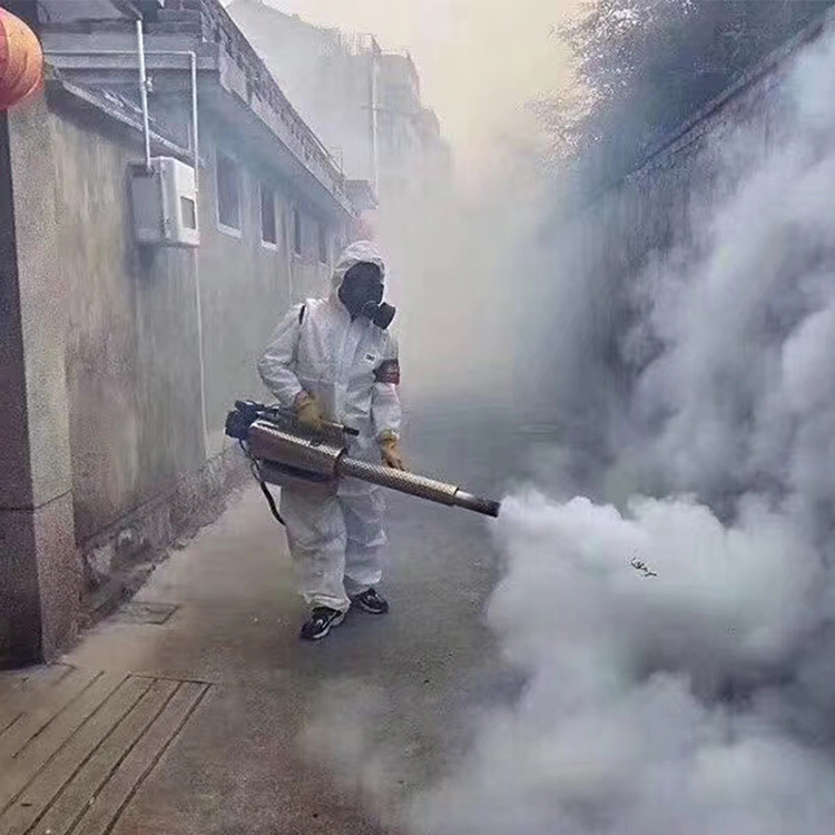 Mini Fogger Machine Portable Disinfectant Spray Smoke Fogger