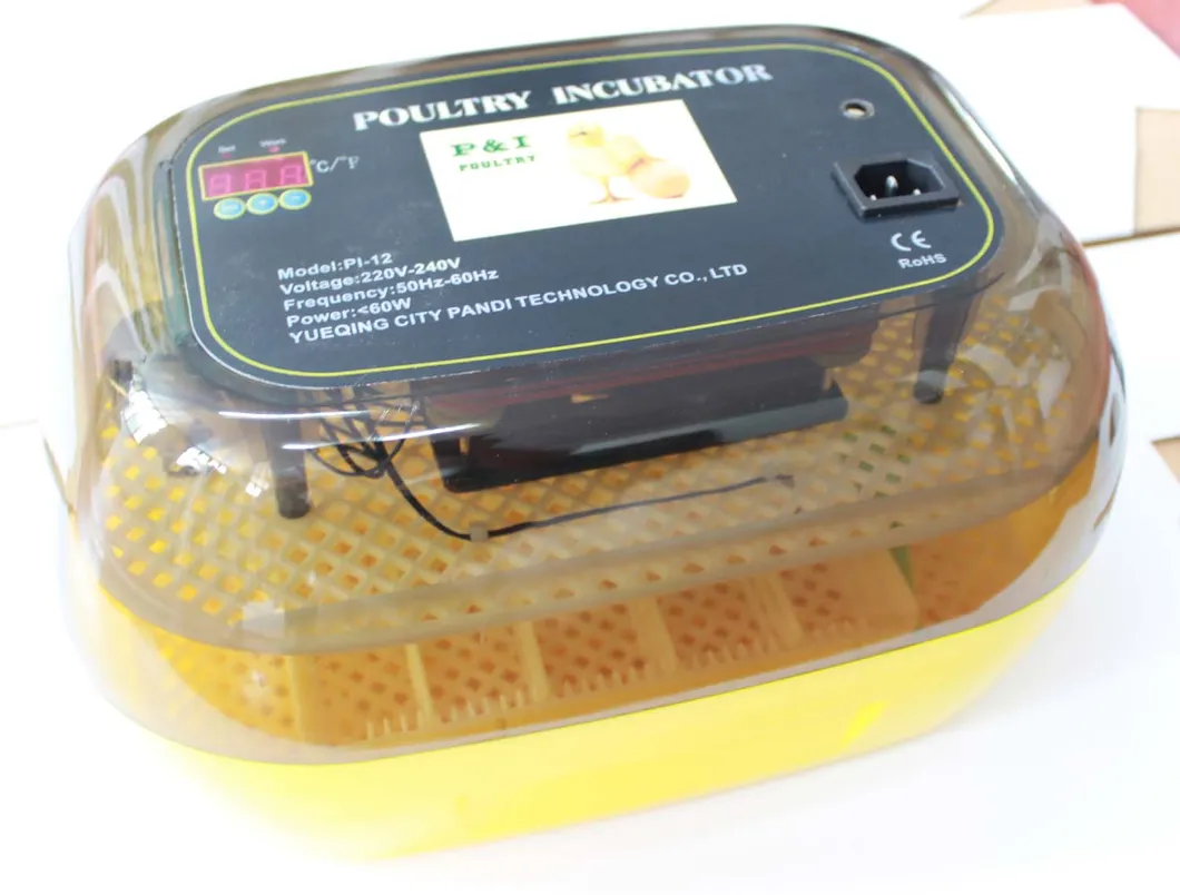 Mini Poultry Incuabtor Egg Incubator