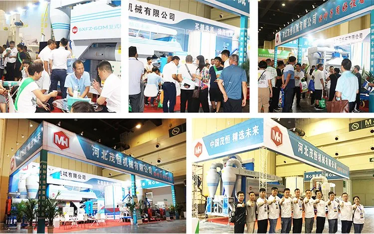 Modern Processing Machine for Seed Grain Corn Wheat 5xfz-15bxm