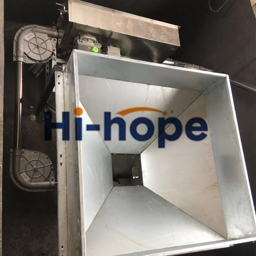 Modern Swine Farm Automatic Feed dispenser Pig Feeding Equipment