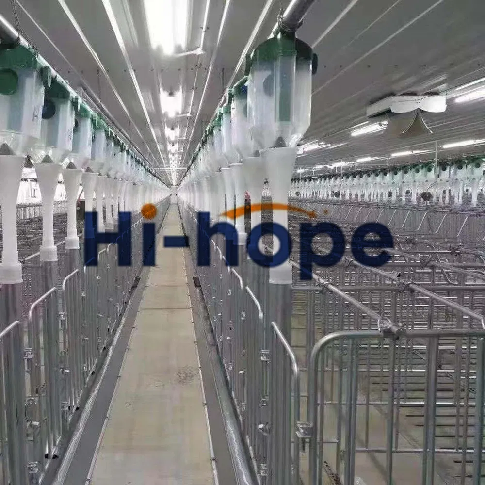 Modern Swine Farm Automatic Feed dispenser Pig Feeding Equipment