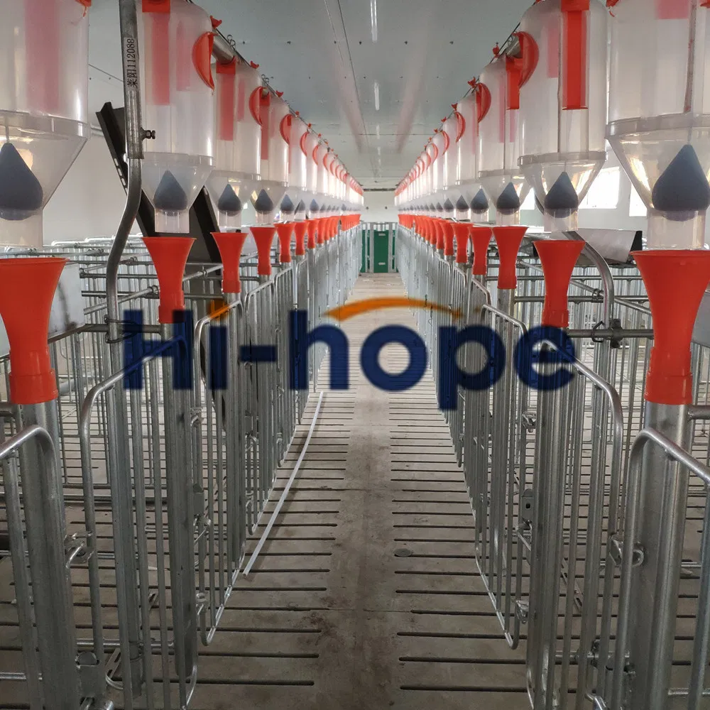 Modern Swine Farm Automatic Feed dispenser Pig Feeding Equipment