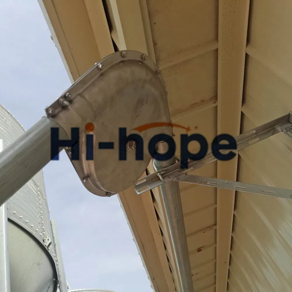 Modern Swine Farm Automatic Feed dispenser Pig Feeding Equipment