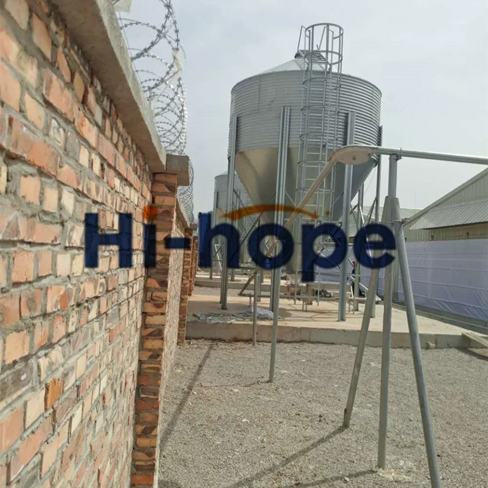 Modern Swine Farm Automatic Feed dispenser Pig Feeding Equipment