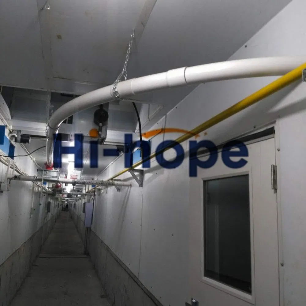 Modern Swine Farm Automatic Feed dispenser Pig Feeding Equipment