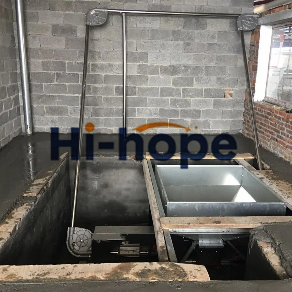 Modern Swine Farm Automatic Feed dispenser Pig Feeding Equipment