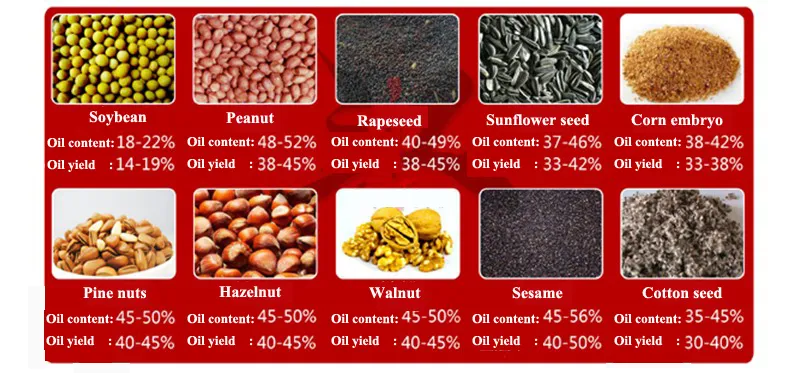 Moringa Oil Presser/Moringa Seeds Oil Press Machine/Moringa Oil Processing Machine