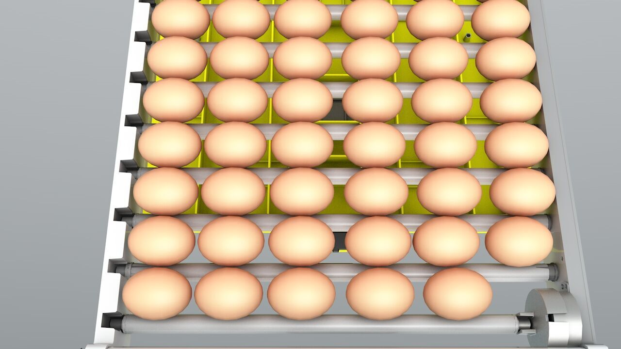 New Arrival Hhd E138 Incubator with High Cost-Effetive Price for Sale