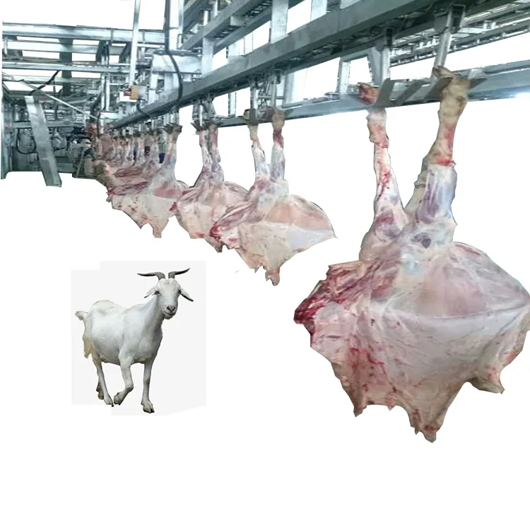 New Design Sheep Goat Killing Line Slaughtering Machinery