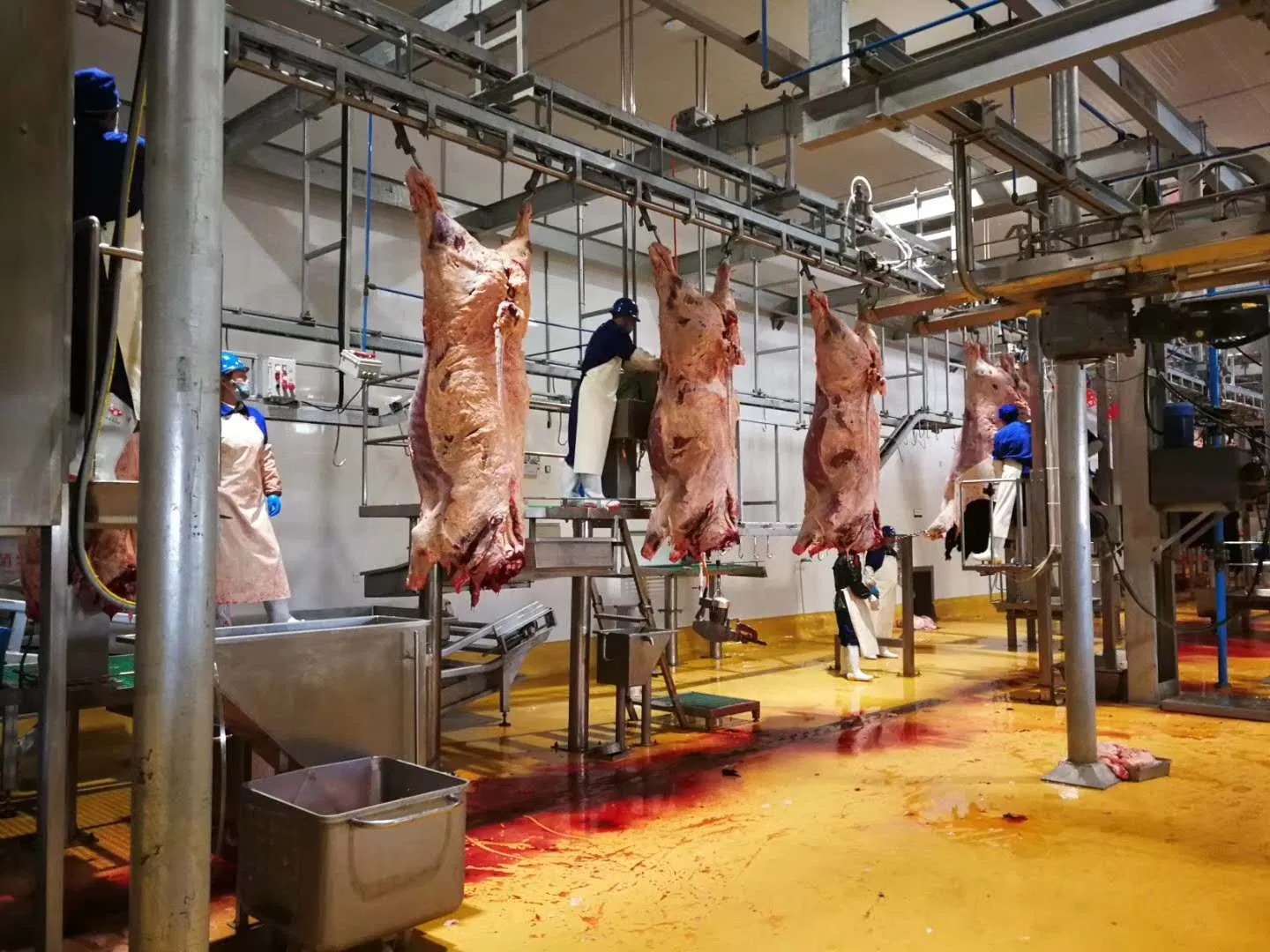 Newly Built Small Output Cattle/Beef/Cow Slaughterhouse Slaughtering Machine