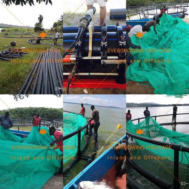 Offshore Seabass Sea Bream Floating Fish Farming Round Fishing Cage