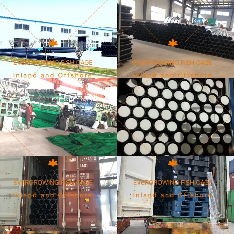 Offshore Seabass Sea Bream Floating Fish Farming Round Fishing Cage