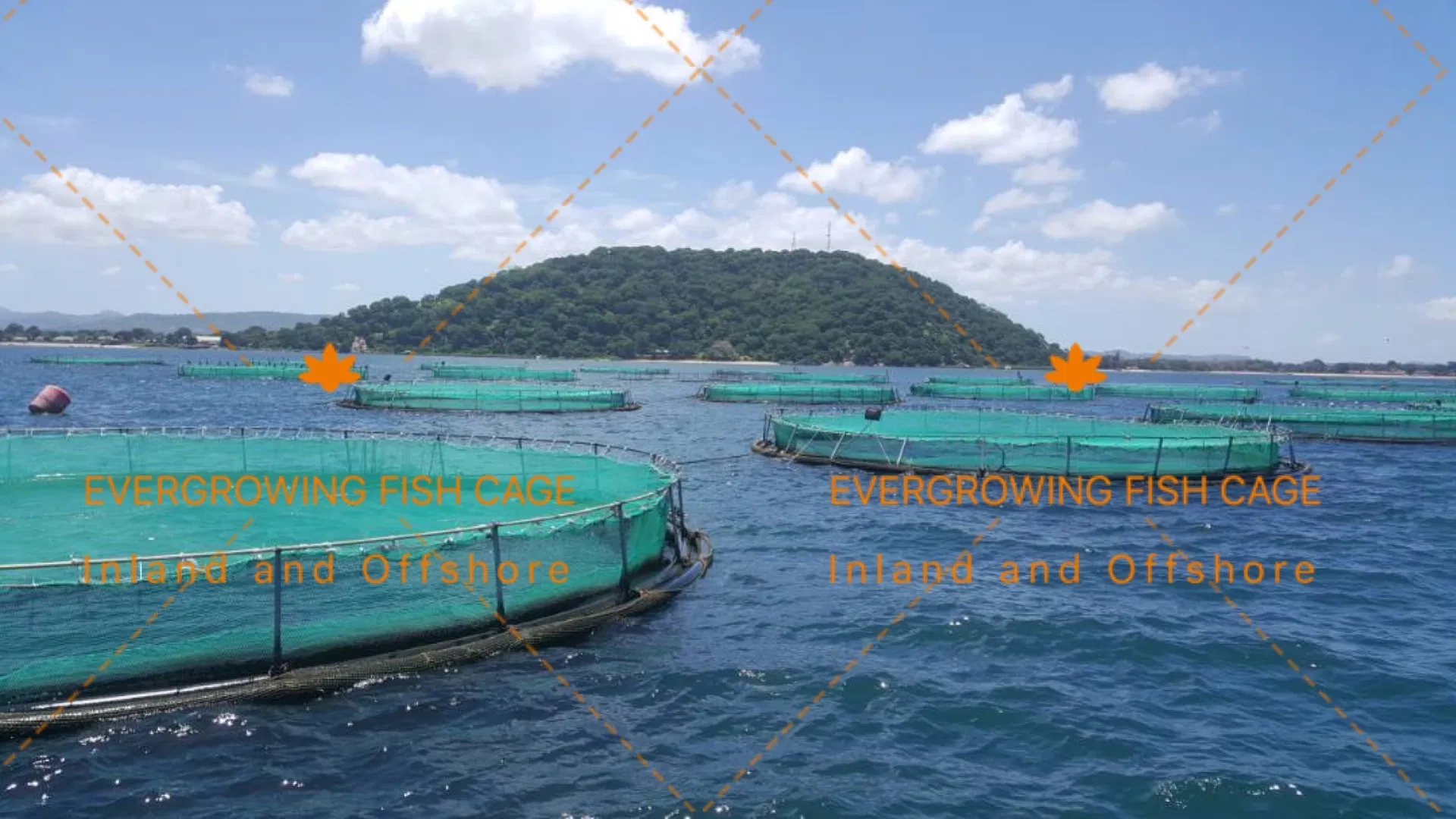 Offshore Seabass Sea Bream Floating Fish Farming Round Fishing Cage