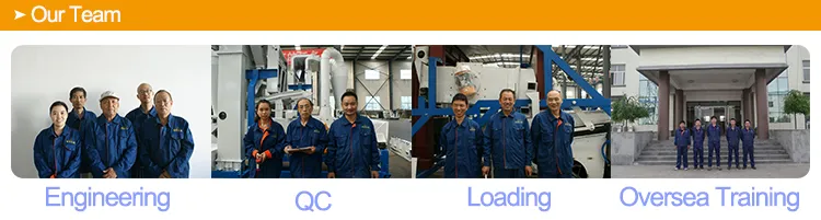 Oil Oat Seed Cleaning Equipment