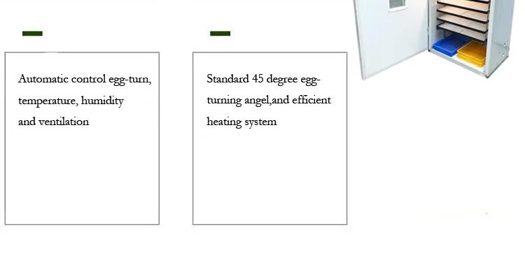 Pigeon Duck Egg Incubators for Chickens
