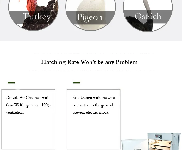 Pigeon Duck Egg Incubators for Chickens