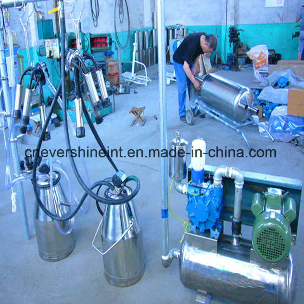 Pipeline Milking Parlor System