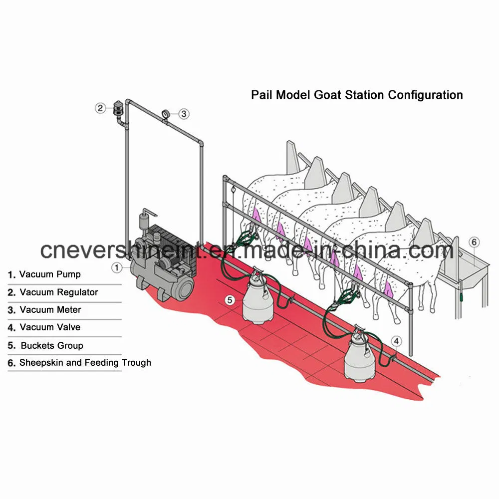Pipeline Milking Parlor System