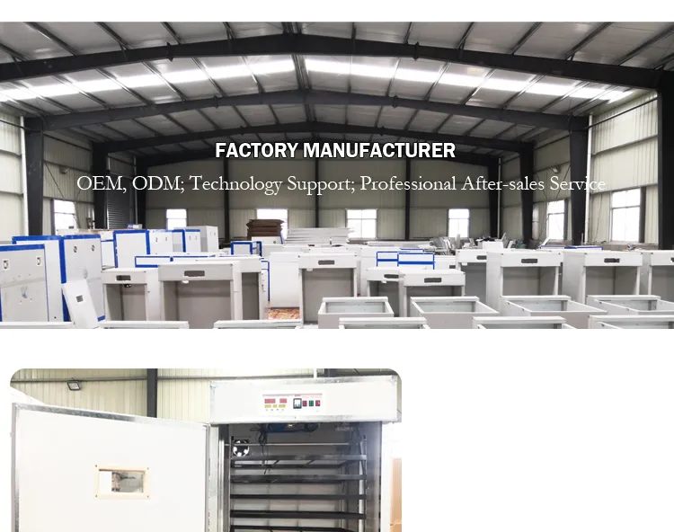 Popular Industrial Chicken 1000 Automatic Egg Hatching Machine