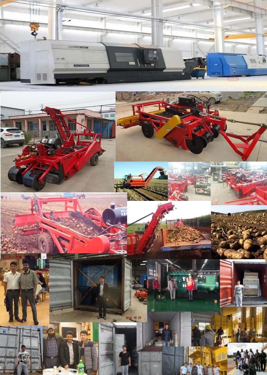 Potato Harvester Manufacturer Factory Sell Potato Harvesting Machine (customization)