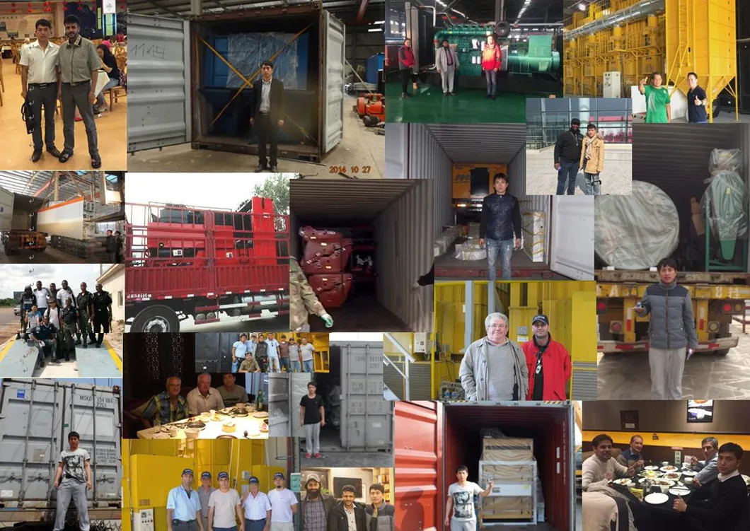 Potato Harvester/White Potato Harvesting Machine/Purple Sweet Potato Harvesing Equipment