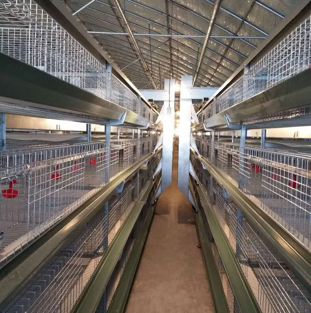 Poultry Cage System/Poultry Farm Equipment for Broiler /Layer/Chicken