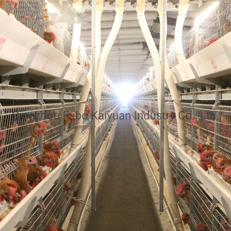 Poultry Cage System/Poultry Farm Equipment for Broiler /Layer/Chicken