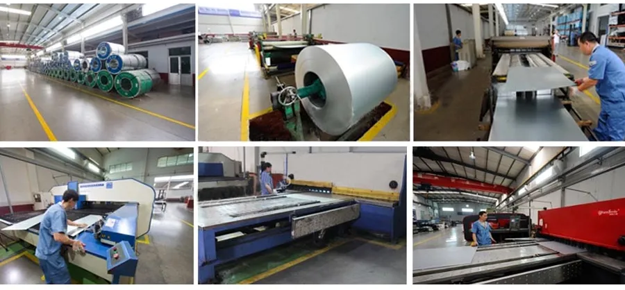 Poultry Equipment Automatic Chicken Egg Nest Box Individual Holes