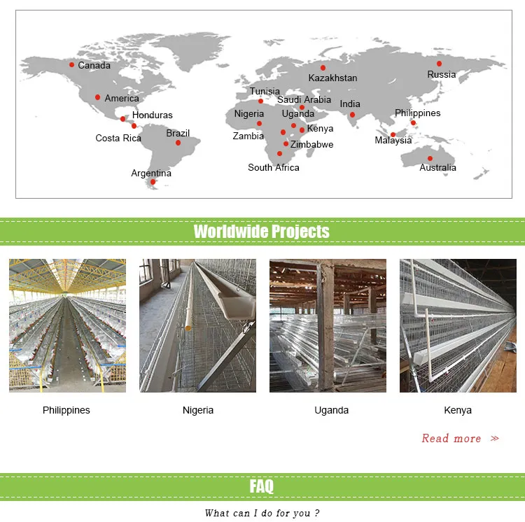 Poultry Farm Automatic Manure Cleaning Machine System