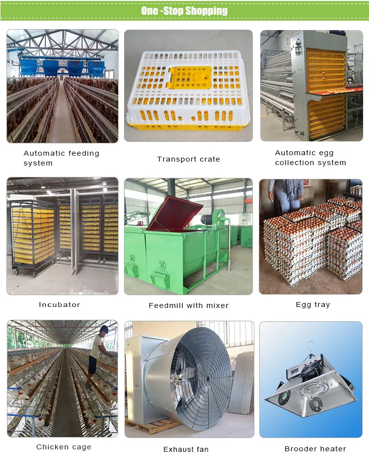 Poultry Farm Automatic Manure Cleaning Machine System