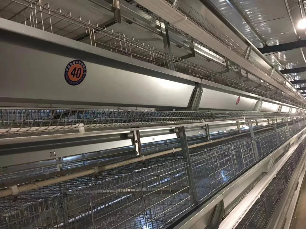 Poultry Farm Cages Hot Sale Uganda Layer Farm Chicken Cage for Poultry Equipment Hot Dipped Galvanized Wiremeshes