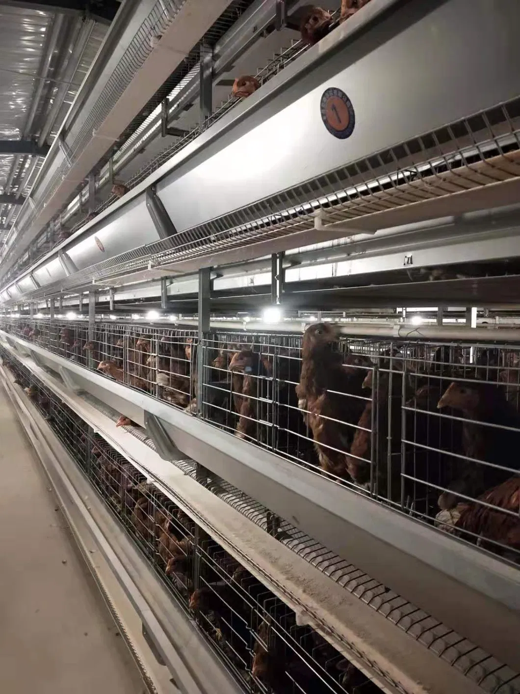 Poultry Farm Cages Hot Sale Uganda Layer Farm Chicken Cage for Poultry Equipment Hot Dipped Galvanized Wiremeshes