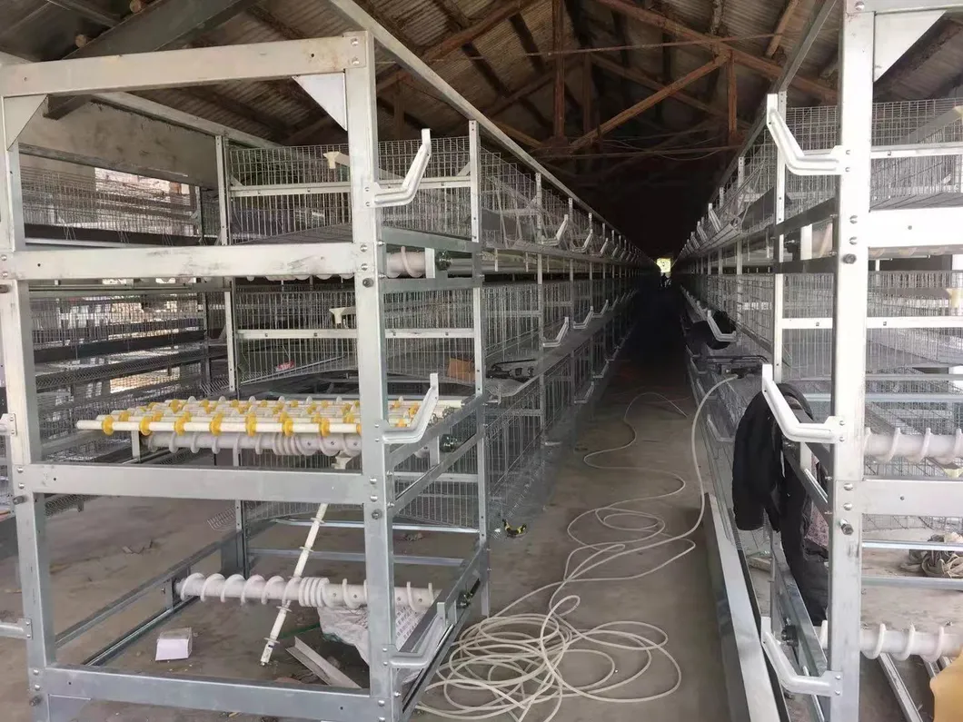 Poultry Farm Cages Hot Sale Uganda Layer Farm Chicken Cage for Poultry Equipment Hot Dipped Galvanized Wiremeshes