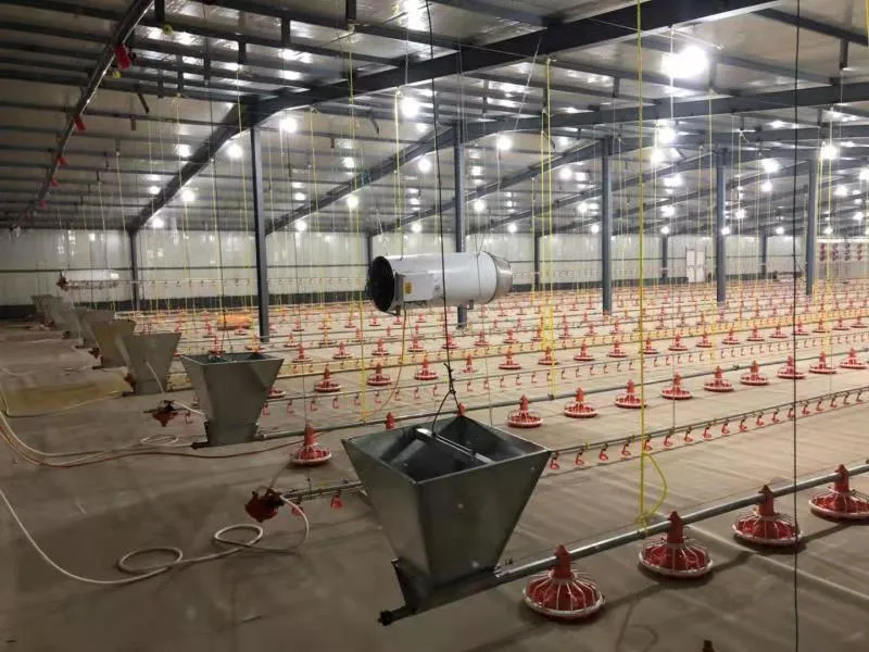 Poutlry Farm Equipment Automatic Chicken Broiler Feeding Pan System