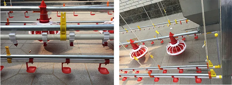 Poutlry Farm Equipment Automatic Chicken Broiler Feeding Pan System