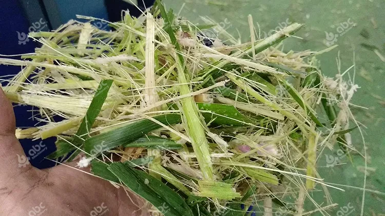 Powerful 3 Phase Wet and Fresh Grass Hay Chopping Machine