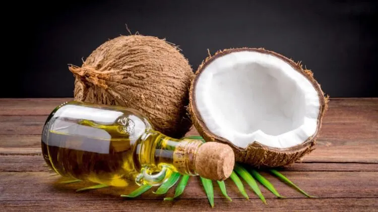 Quality High Large Force Coconut Oil Making Machine Peanut Soybean Sunflower Seed Oil Expeller Oil Press Machine